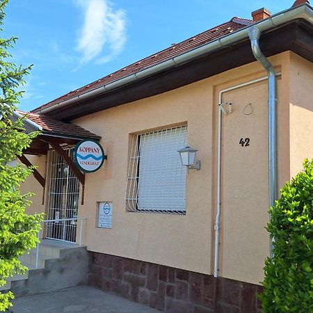 Koppány Vendégház Adand Exterior foto