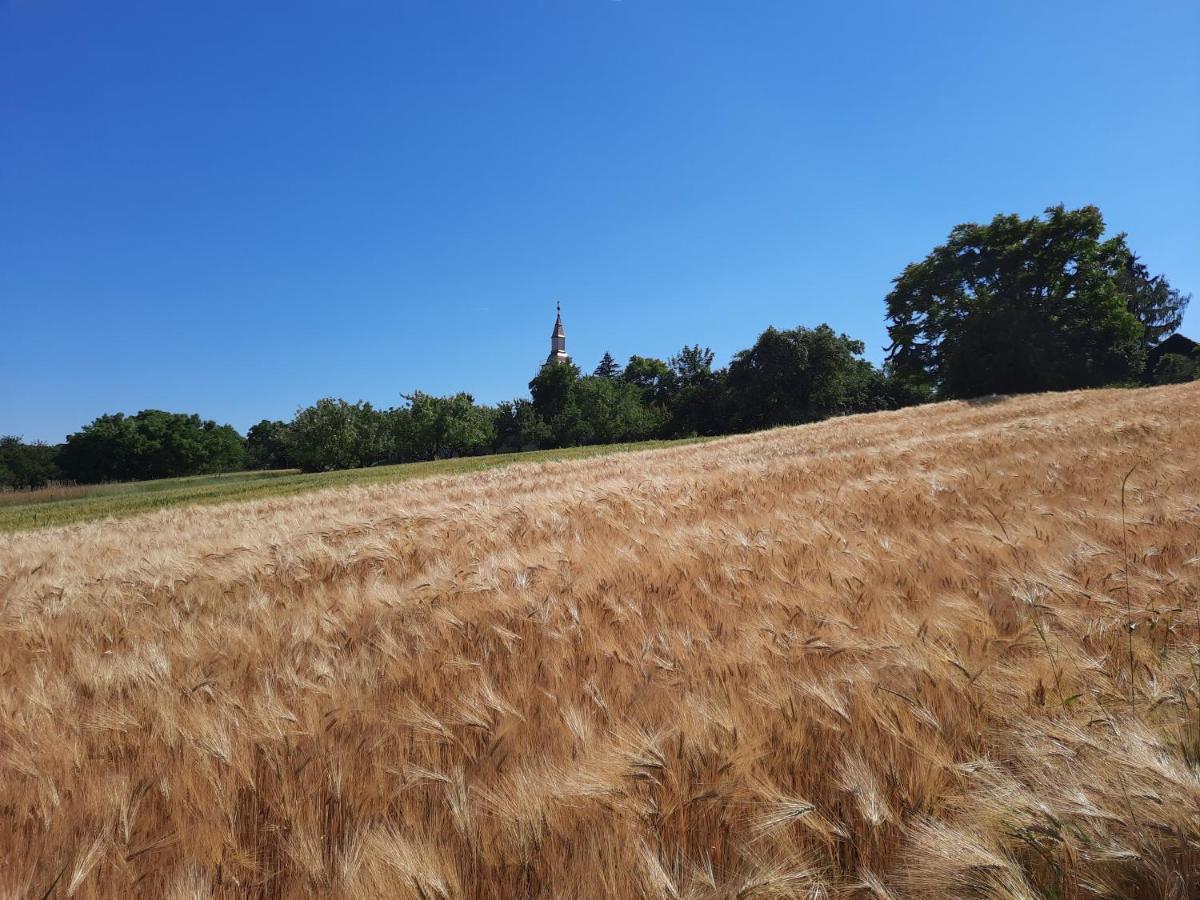 Koppány Vendégház Adand Exterior foto