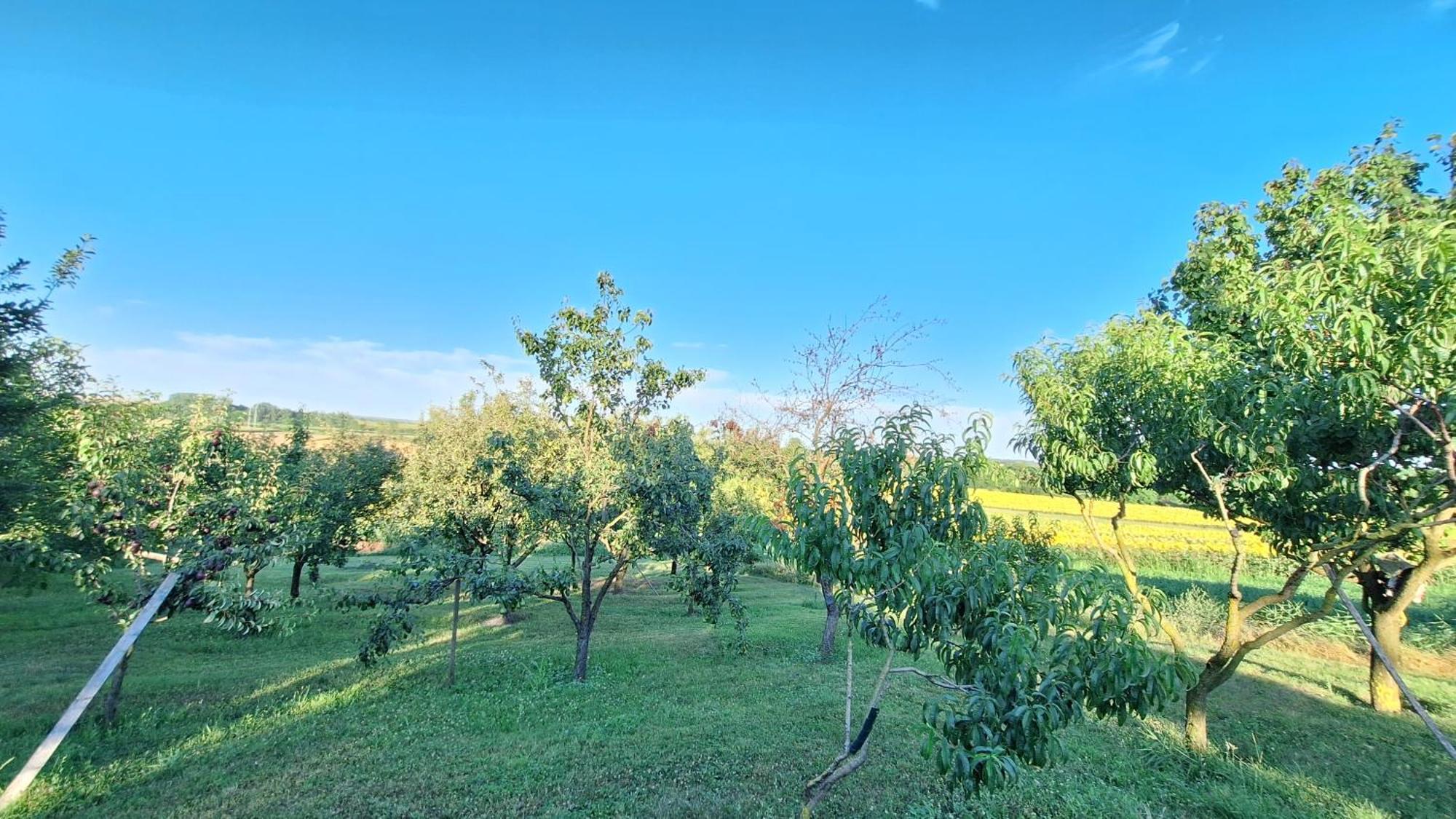 Koppány Vendégház Adand Exterior foto